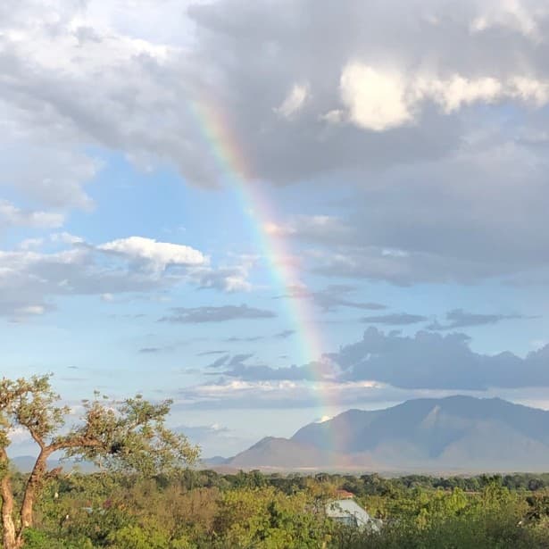 Climb2Kili safari e mountain travel highlight