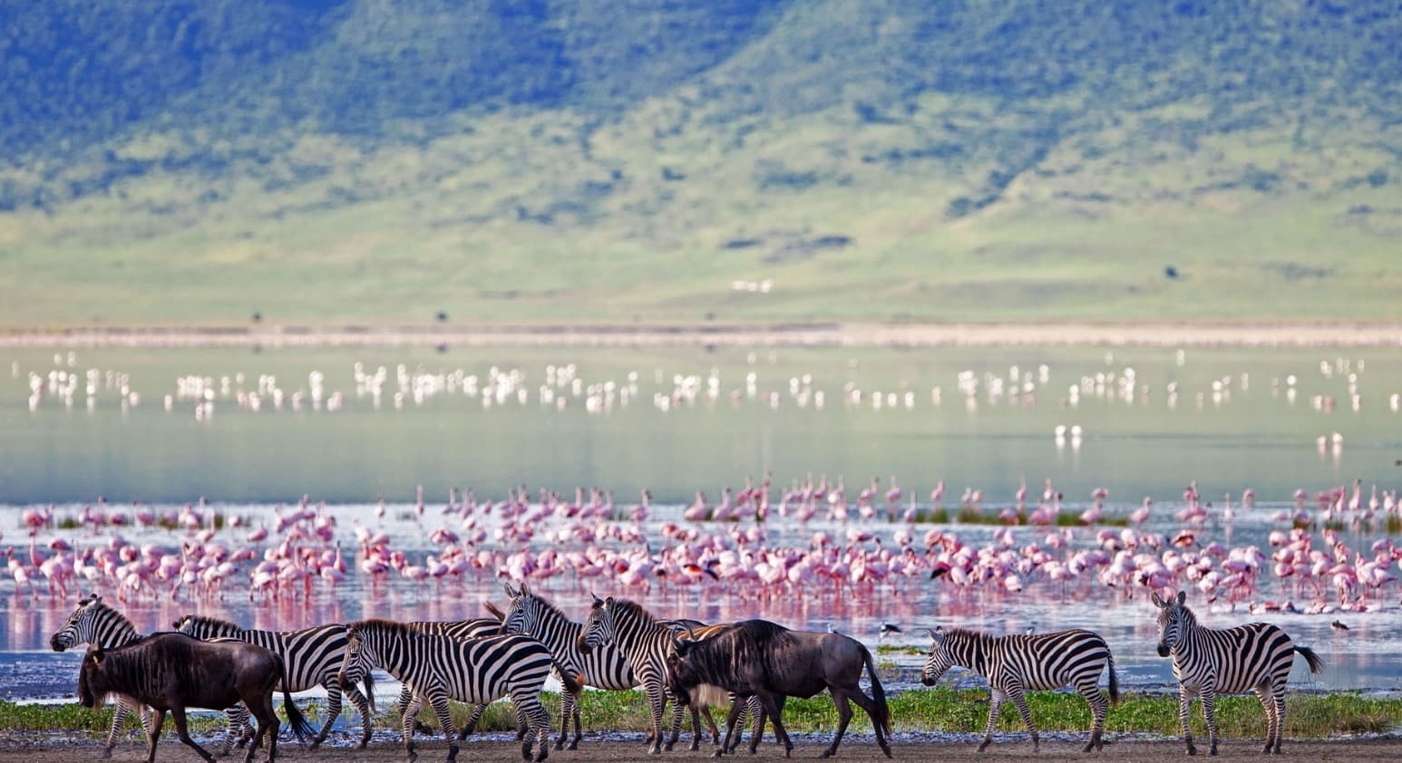 Cratere di Ngorongoro